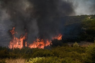 Φωτιά τώρα στη Φθιώτιδα