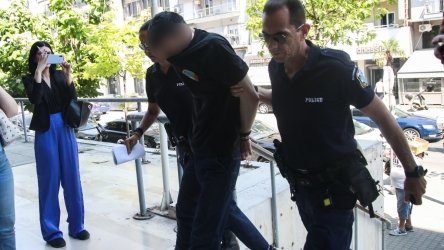 Θεσσαλονίκη: Κακουργηματική δίωξη στον 34χρονο που πάτησε γάτα με αυτοκίνητο – Βρήκαν ναρκωτικά στο σπίτι του
