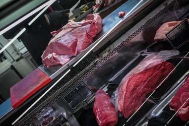 «Μέχρι και 16 ευρώ/κιλό το μοσχαράκι» – Στα ύψη οι τιμές στο κρέας