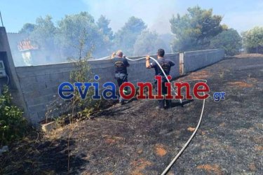 Φωτιά τώρα στην Ερέτρια – Κοντά σε σπίτια οι φλόγες – Μήνυμα από το 112