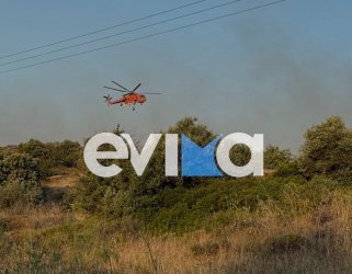 Μεγάλη φωτιά στην Εύβοια – Εκκενώθηκε προληπτικά ξενοδοχειακή μονάδα