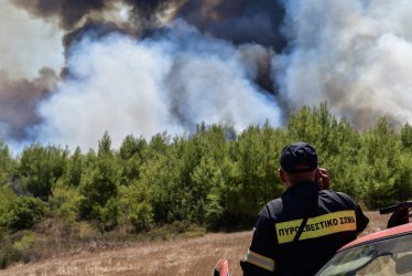 Φωτιά τώρα στη Μεσσηνία – Στη μάχη και εναέρια μέσα