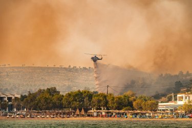 Φωτιά στη Χίο: Ένας ποινικός στο «κάδρο» των ερευνών για εμπρησμούς – Στάχτη 70.000 στρέμματα