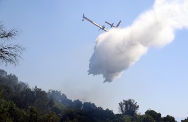 Υπό έλεγχο η φωτιά στην Παιανία – Η Πυροσβεστική πρόλαβε τα χειρότερα