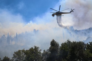 Φωτιά τώρα στην Σπάρτη – Σηκώθηκαν ελικόπτερα και αεροπλάνα