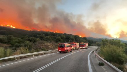 Υπό έλεγχο η φωτιά στην Παλαιοπαναγιά Ναυπάκτου – Συνεχίζουν να επιχειρούν ισχυρές δυνάμεις της Πυροσβεστικής (βίντεο)