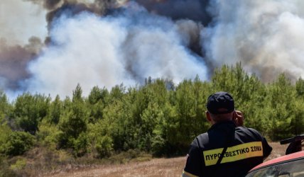 Φωτιά τώρα στα Κύθηρα: Ήχησε το 112 – Σηκώθηκαν έξι εναέρια