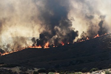 Οι καπνοί από τις φωτιές σκεπάζουν τη χώρα – «Μια δυστοπική δορυφορική εικόνα»