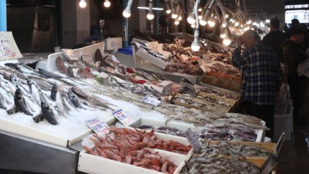«Άφαντα» τα ψάρια από το τραπέζι: Αυξήσεις έως 80% σε έναν χρόνο – Τιμές