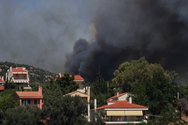 Μεγάλη φωτιά τώρα στη Ραφήνα: Στη Λεωφόρο Μαραθώνος οι φλόγες – Ήχησε για εκκένωση το 112 (Εικόνες, Βίντεο)