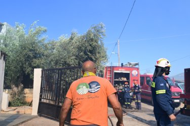 Συγκλονιστικό βίντεο από τη φωτιά στη Ραφήνα: Αστυνομικοί δίνουν τις πρώτες βοήθειες σε ανήμπορη ηλικιωμένη