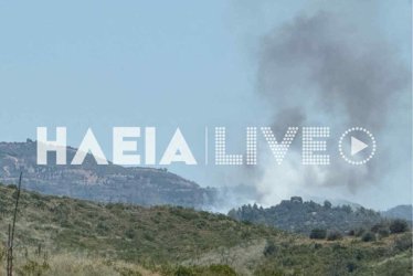 Φωτιά τώρα στην Αρχαία Ολυμπία – Εξαπλώθηκε σε δάσος, μάχη σε 3 μέτωπα