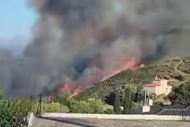 Μεγάλη φωτιά τώρα στα Μεσοχώρια Εύβοιας: Οι φλόγες πλησιάζουν κατοικημένες περιοχές – Ήχησε το 112