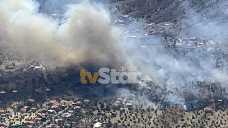 Φωτιά στην Αλυκή Βοιωτίας: Οι φλόγες «έγλειψαν» αυλές – Μάχη με τις αναζωπυρώσεις