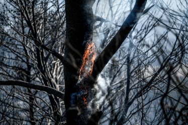 Φωτιά τώρα στις Νεραντζιές Αιγίου, ήχησε το 112