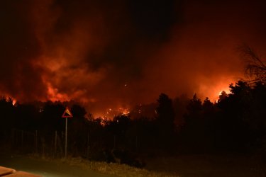 Ζωφριά: Οριοθετήθηκε η φωτιά στο Ποικίλο Όρος