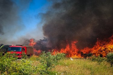 Φωτιά στη Νεάπολη Λακωνίας: Μήνυμα του 112 για απομάκρυνση