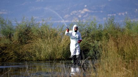Τα κουνούπια «έζωσαν» τον Δήμο Νέστου – Ζητούν να κηρυχθεί σε κατάσταση έκτακτης ανάγκης