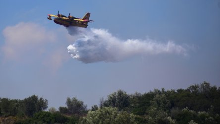 Φωτιά τώρα στη Βοιωτία