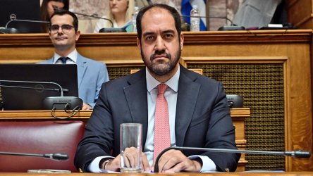 Κεφαλογιάννης: «Μειωμένα κατά 90% με 95% τα καμένα δάση φέτος»