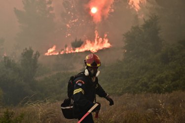 Δράμα: Φωτιά σε δασική έκταση στα Ζαρκάδια Παρανεστίου