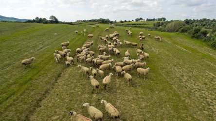 Έρχονται τις επόμενες μέρες δημεύσεις περιουσιών για το σκάνδαλο του ΟΠΕΚΕΠΕ