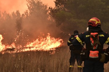 Συναγερμός για τον κίνδυνο πυρκαγιάς την Τετάρτη 23/7: 5 περιοχές σε επιφυλακή – Απαγόρευση κυκλοφορίας στη Χαλκιδική