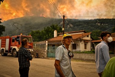 Φενεός: Από εργασίες για rave party ξεκίνησε η φωτιά που έκαψε δάσος και σπίτια – Σε ύφεση το μέτωπο