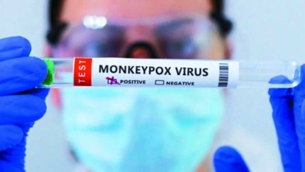Συναγερμός στη Γκάμπια: Εντοπίστηκε κρούσμα ευλογιάς των πιθήκων
