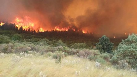 Εκτός ελέγχου η φωτιά στον Φενεό Κορινθίας: Δυο πυροσβέστες στο νοσοκομείο – Εκκενώθηκαν οικισμοί (Eικόνες, βίντεο)