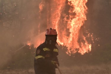 Πυροσβεστική: 38 αγροτοδασικές φωτιές το τελευταίο 24ωρο