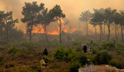 Έρευνα για οργανωμένο σχέδιο εμπρησμού στη Χίο – Ζητήθηκε άρση τηλεφωνικού απορρήτου
