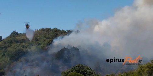 Υπό έλεγχο η φωτιά στο Μονολίθι Πρέβεζας – Τιτάνια μάχη πυροσβεστών και εθελοντών