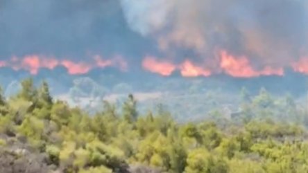 Φωτιά τώρα στην Αττική: Μάχη με τις φλόγες στην Κερατέα – 112 για εκκένωση (βίντεο)