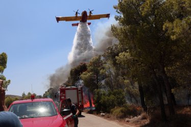Πολύ υψηλός κίνδυνος πυρκαγιάς τη Δευτέρα: Προειδοποίηση και για Αττική – Δύσκολες συνθήκες έως 13 Αυγούστου