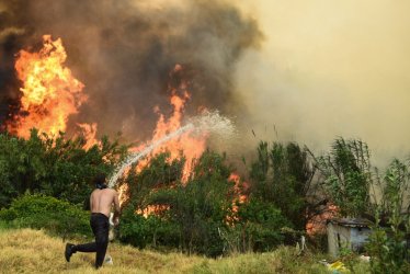 Φωτιές σε Χίο, Αχαΐα, Ζάκυνθο, Πρέβεζα – Η έκταση της καταστροφής σε χάρτες
