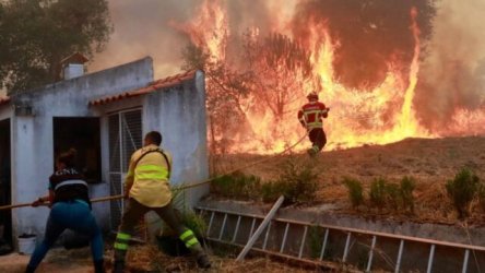 Φωτιές στην Ευρώπη: “Ψηνόμαστε ζωντανοί” – Ο καύσωνας και η ξηρασία τροφοδοτούν τις φλόγες σε Μεσόγειο και Βαλκάνια