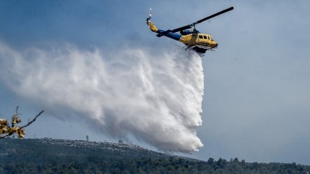 Φωτιά τώρα στην Αργολίδα