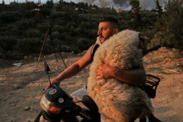 Φωτιές στην Αχαΐα: Αυτός είναι ο 33χρονος Ολσιέν που έσωσε το πρόβατο με το μηχανάκι του