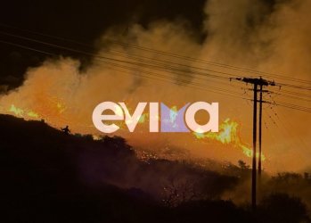 Υπό μερικό έλεγχο η φωτιά στην Εύβοια