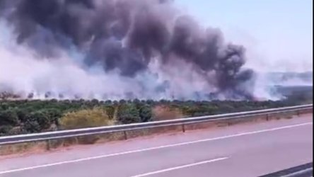 Φωτιά στο Αγρίνιο από σκασμένο ελαστικό φορτηγού στην Ιονία Οδό