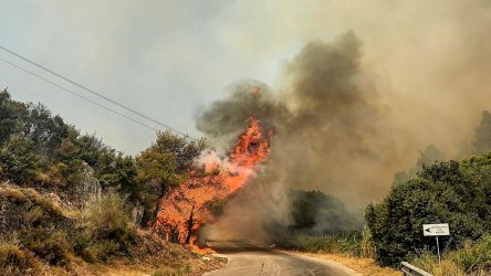 Φωτιά τώρα στην Αρκαδία – Μεγάλη κινητοποίηση της Πυροσβεστικής