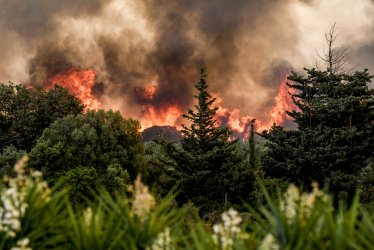 Πολύ υψηλός κίνδυνος για φωτιά την Κυριακή σε τρεις περιοχές – Τι πρέπει να γνωρίζουν οι πολίτες