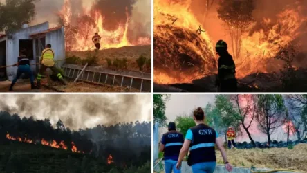 Πυρκαγιές στην Πορτογαλία: Πυροσβέστης έχασε τη ζωή του ενώ έδινε ηρωική μάχη με τις φλόγες