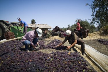 Χωρίς μετανάστες έρχεται ύφεση και αύξηση τιμών – Κορυφαίοι Κεντρικοί Τραπεζίτες προειδοποιούν