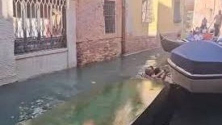 Βενετία: Αναποδογύρισε η γόνδολα και οι τουρίστες έπεσαν στο νερό – Το βίντεο που έγινε viral