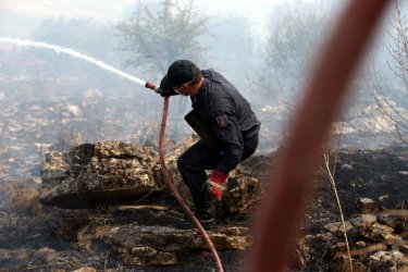 Επτά φωτιές σε ένα μήνα στην ίδια περιοχή είναι… σκάνδαλο – Υποψίες για εμπρησμό σε Σκάνδαλο και Γαρδίκι Θεσπρωτίας