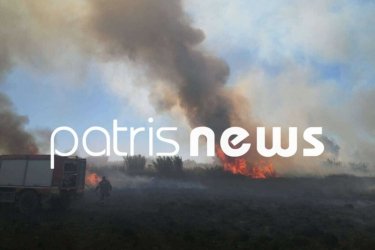 Φωτιά σε δύο μέτωπα στην Ηλεία – Μάχη των πυροσβεστών σε Λεχαινά και Μακρίσια