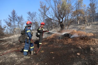 Φωτιά τώρα στο Αγρίνιο: Σηκώθηκαν εναέρια