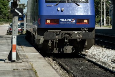 Hellenic Train: Αμαξοστοιχία με 400 επιβάτες συγκρούστηκε με κοπάδι προβάτων στην Αλίαρτο